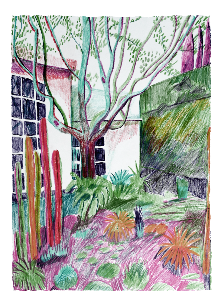 Beverly Hills Garden